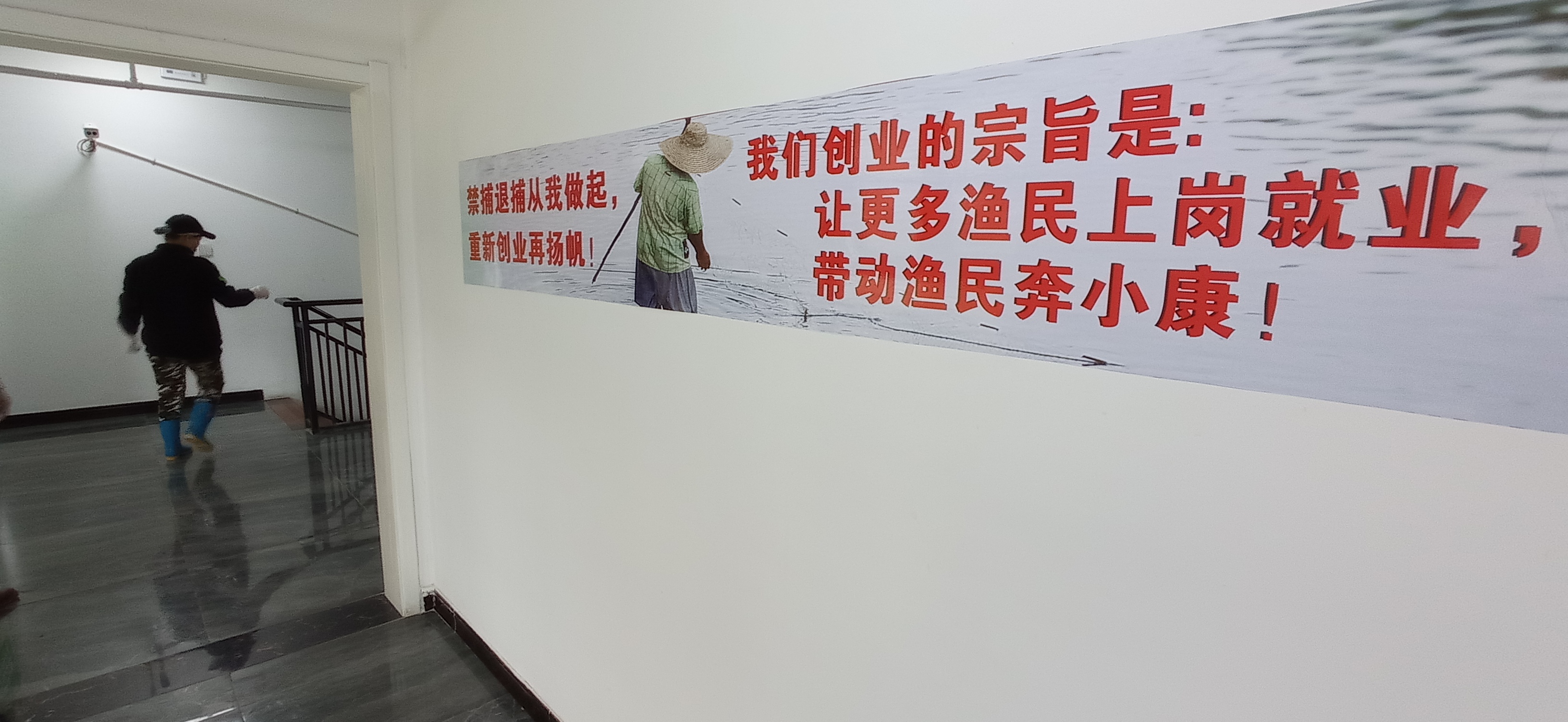 江边江豚嬉戏,江豚戏水长江段