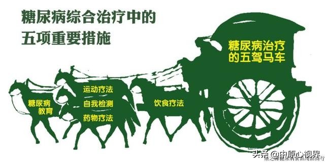 五驾马车疗法能治愈糖尿病吗,糖尿病人的5辆马车是什么