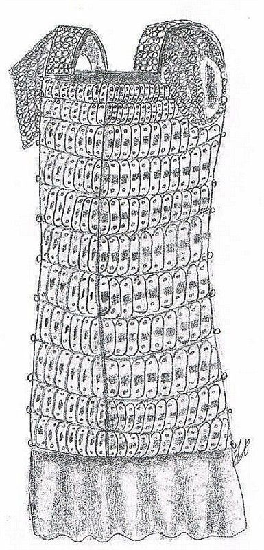 特战先锋第九集完整版,战役第九章