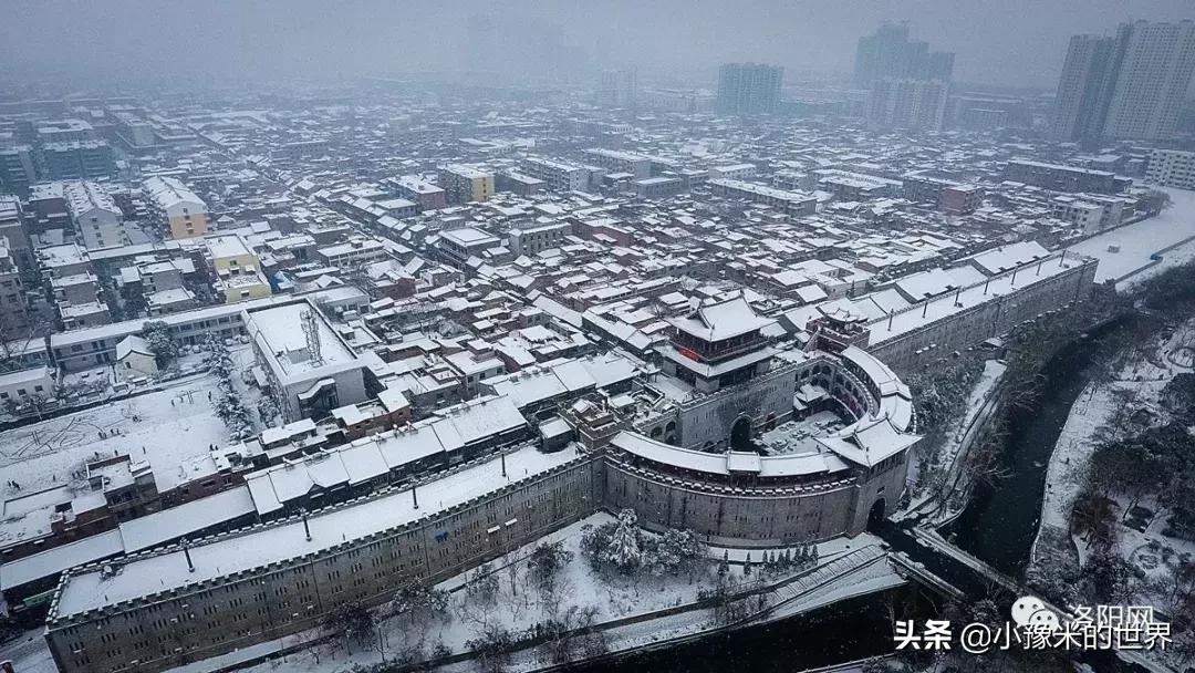 河南洛阳发布最新通知,洛阳牡丹花会向全世界发出邀请