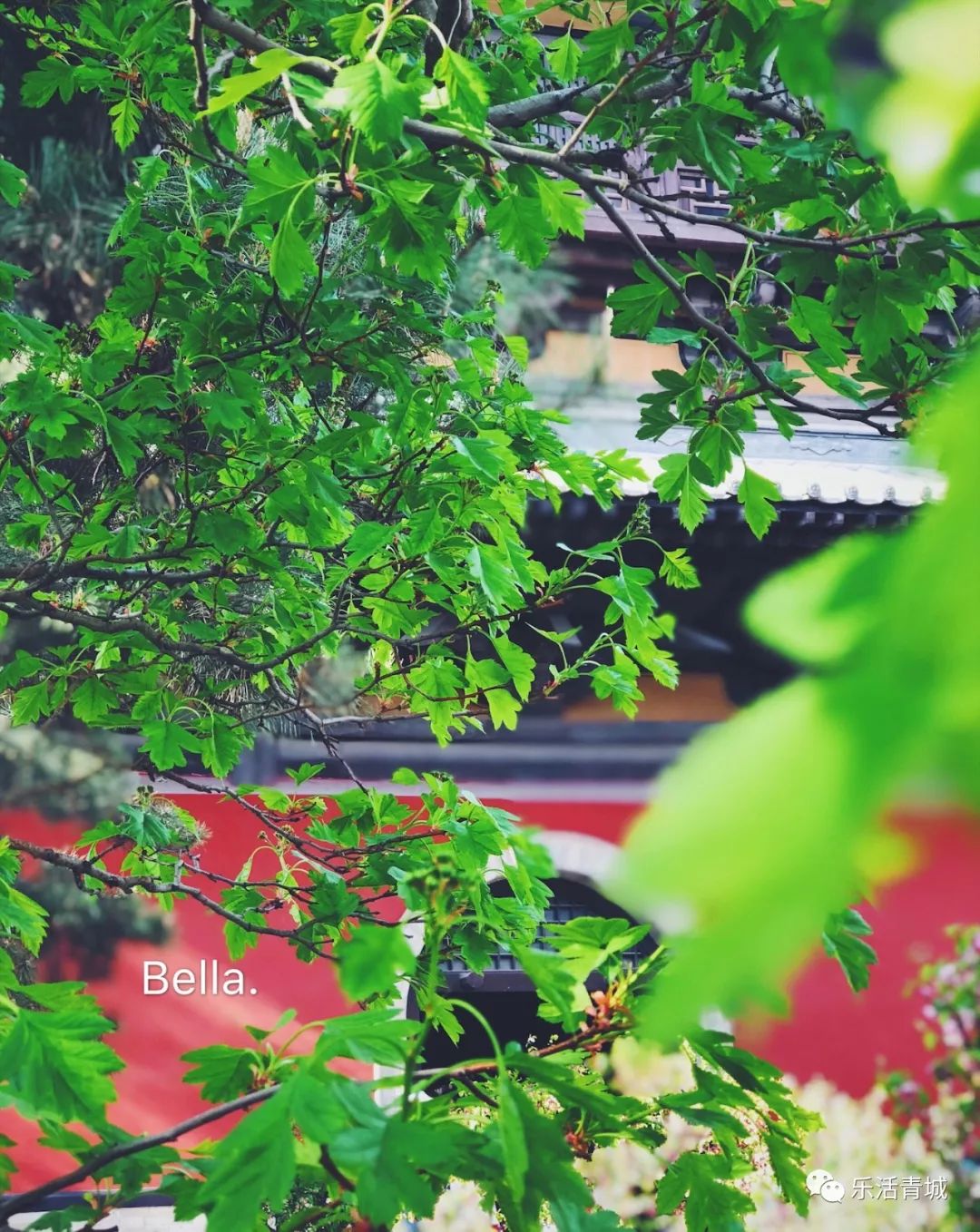 贝拉专访合集,贝拉专访完整版