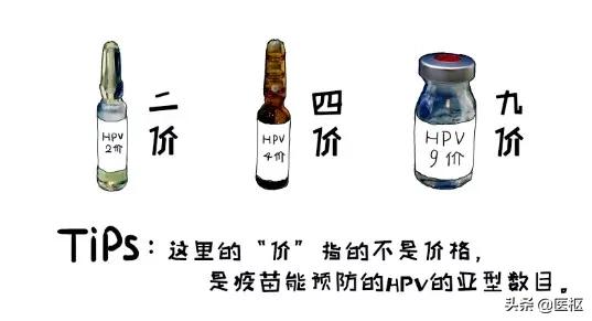 hpv感染与宫颈癌宣传科普,关爱女性健康之宫颈癌