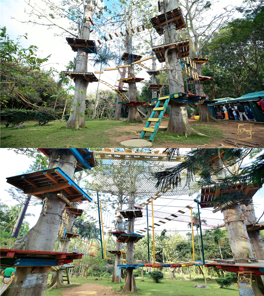 陵水猴岛与呆呆岛之旅,三亚猴岛呆呆岛有必要去吗