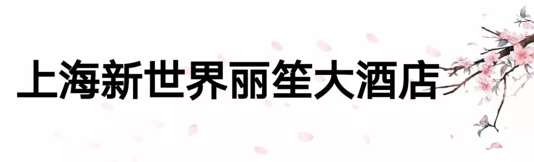 高性价比酒店推荐情人节,情人节一定要去的地方