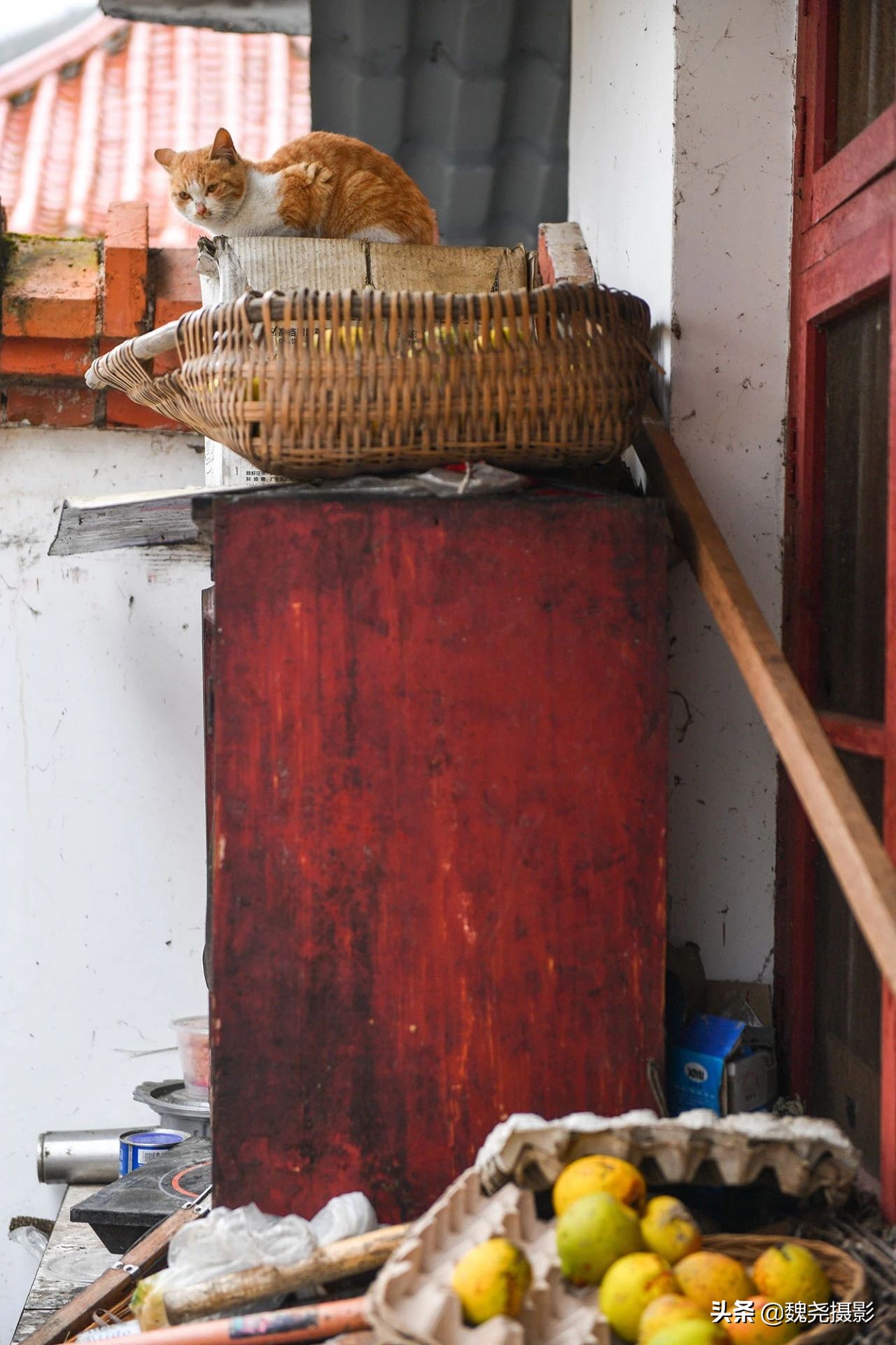 留坝秦岭之夜,留坝秦岭森林公园