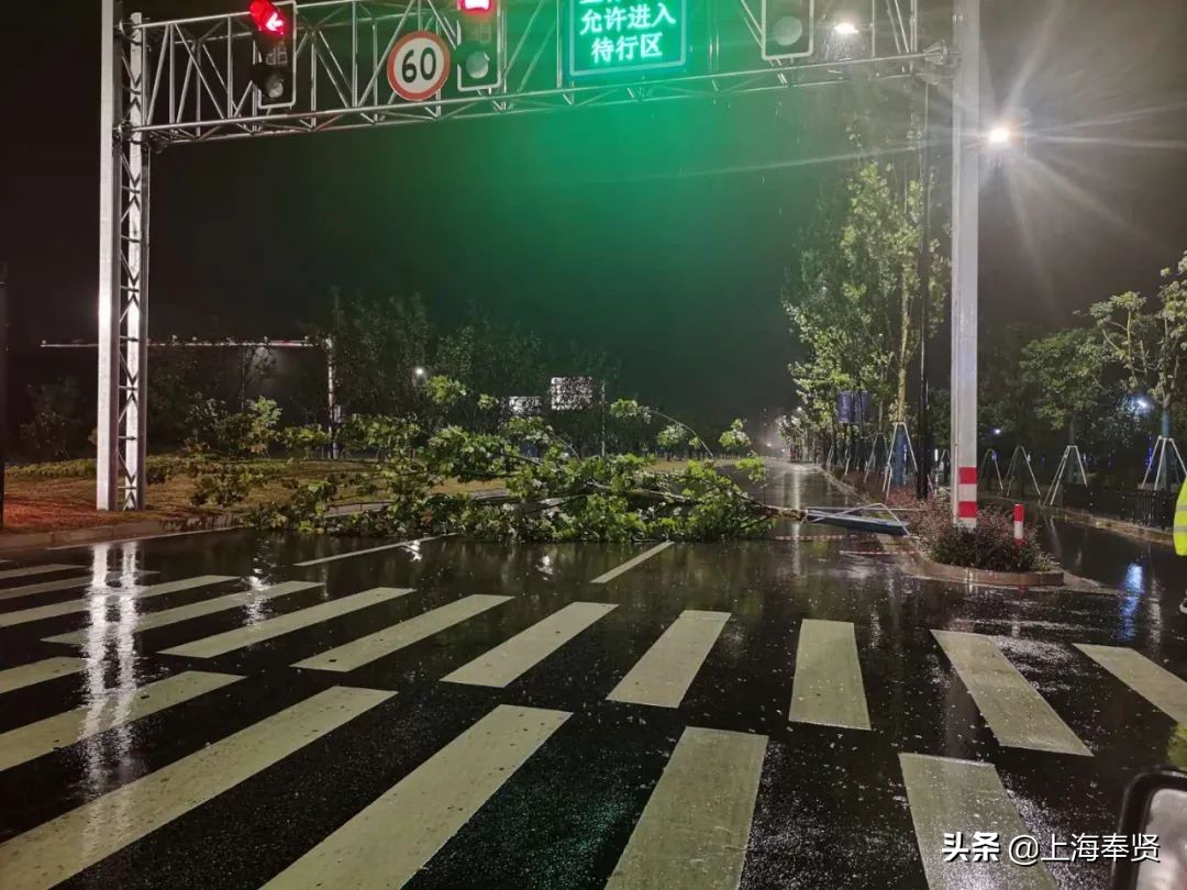 台风财产损失如何解决,台风天气车受损怎么办