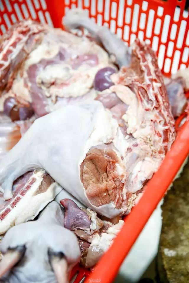 海南入秋了，先吃一口美安乳羊暖暖心