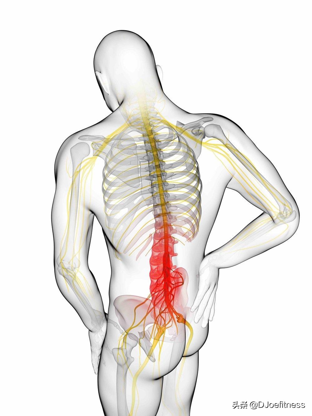 深蹲训练时腰疼的原因和改善方案,深蹲训练伤腰吗