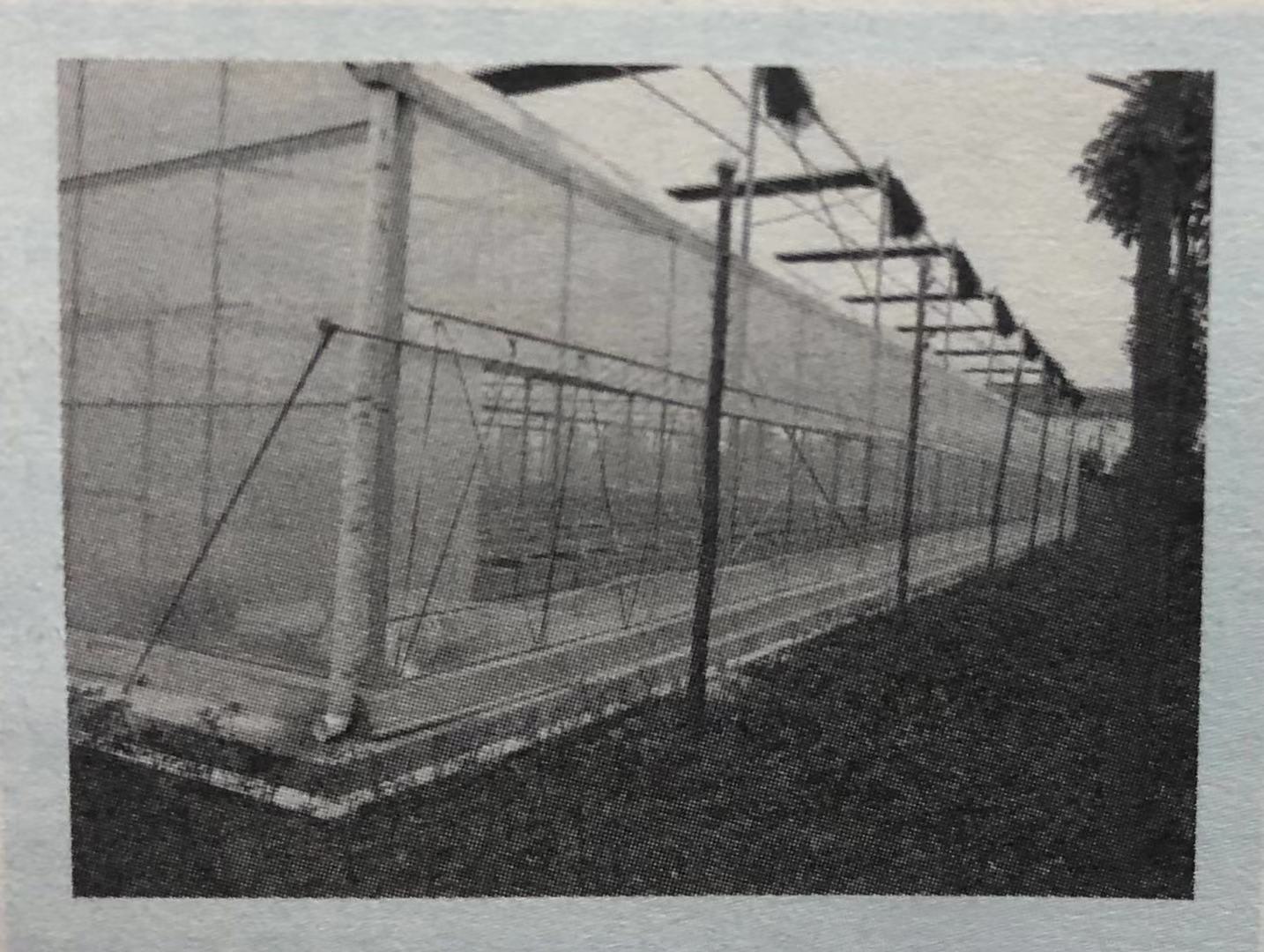 小龙虾育养分区技术要点,小龙虾养殖的高效方法