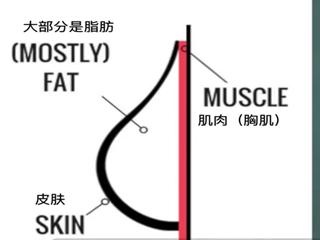 女人减肥胸部小了怎样恢复,200斤胖子减肥如何把胸部变小