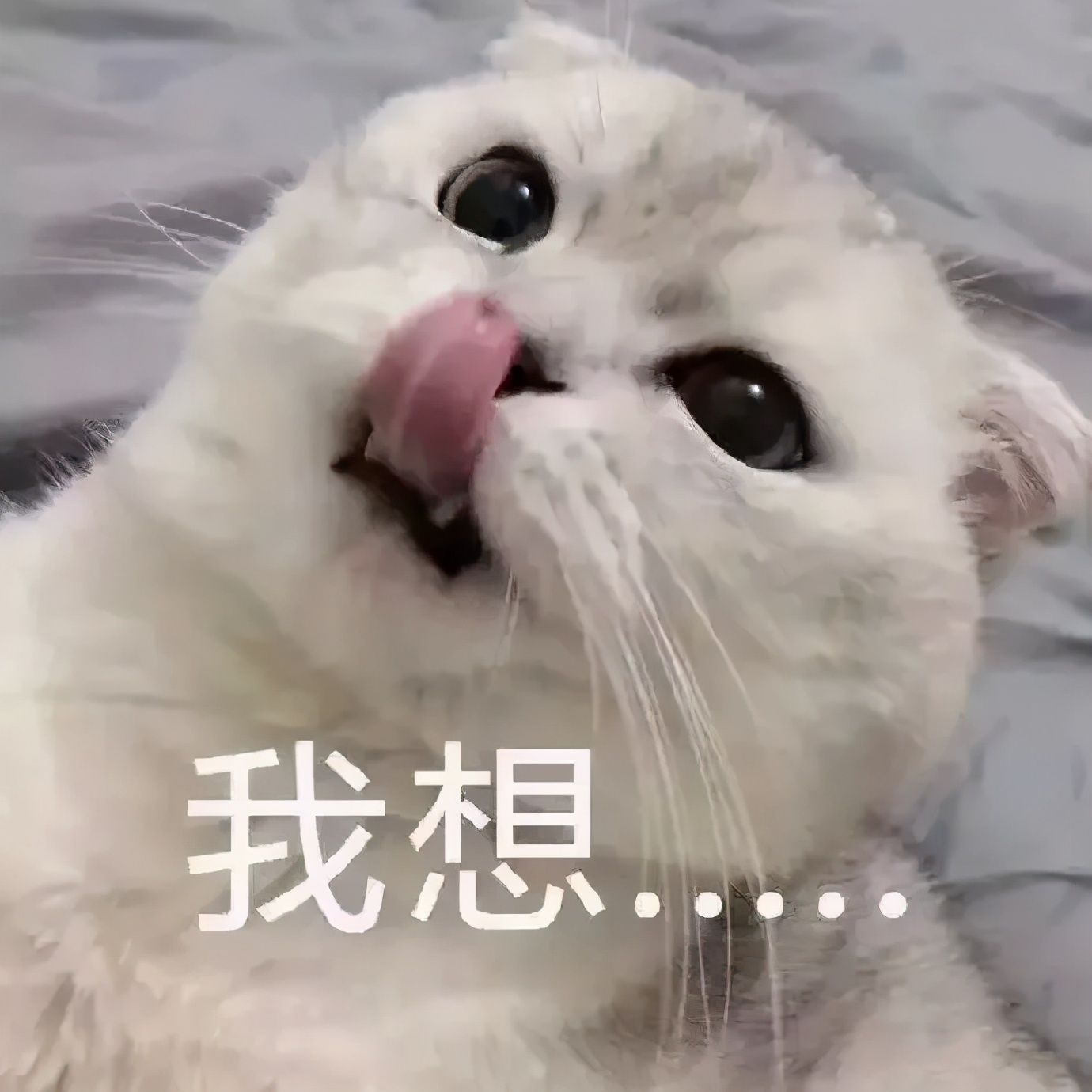 原来那么多人都有「姨妈期性冲动」?