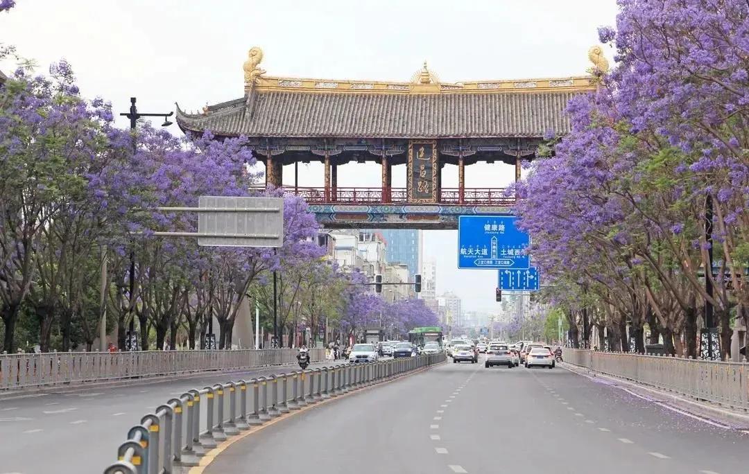 蓝花楹西昌航天北路公交车,蓝花楹卫星宾馆