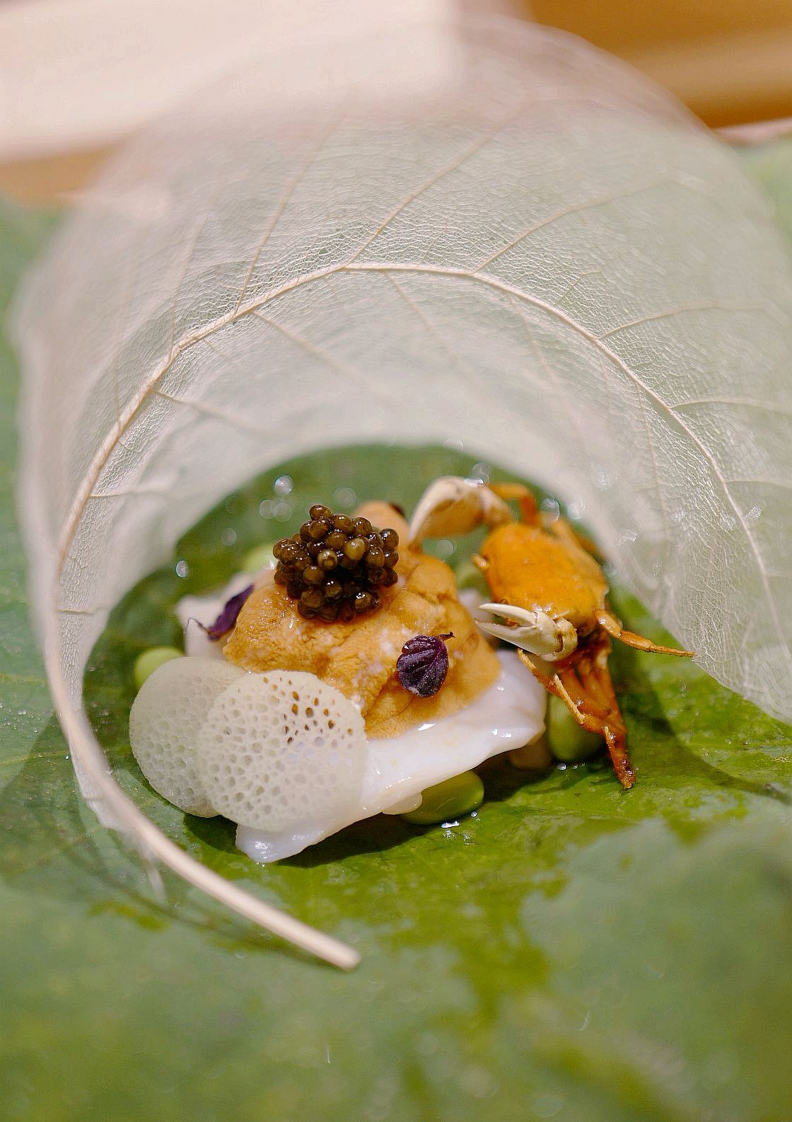 上海日料自助天花板,上海日料天花板