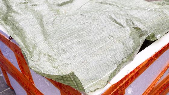 西安靓靓蒸虾免单,靓靓蒸虾免单活动