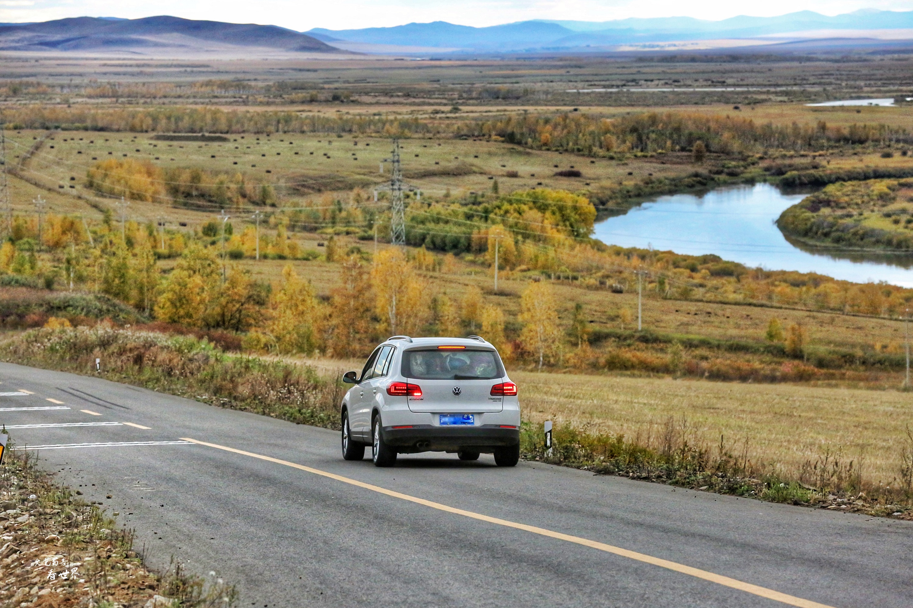 额尔古纳河离呼伦贝尔大草原远吗 (额尔古纳草原深度游)
