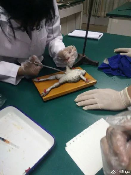 西安四大医学院,西安医学院第三临床医学院