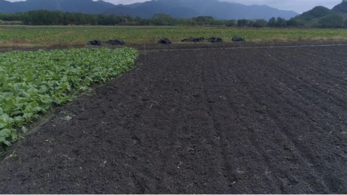 黑龙江黑土地被盗事件,偷黑土被判刑后续