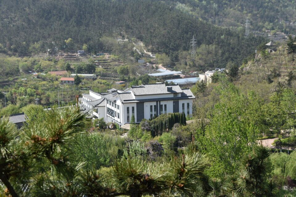 曾经的青岛雨林谷，摇身一变身价爆涨，门票太贵游人稀少