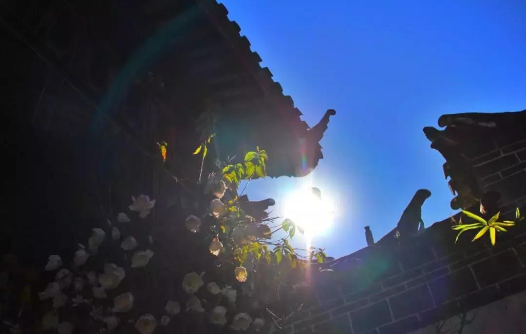 看了照片,我3秒钟就决定要去丽江