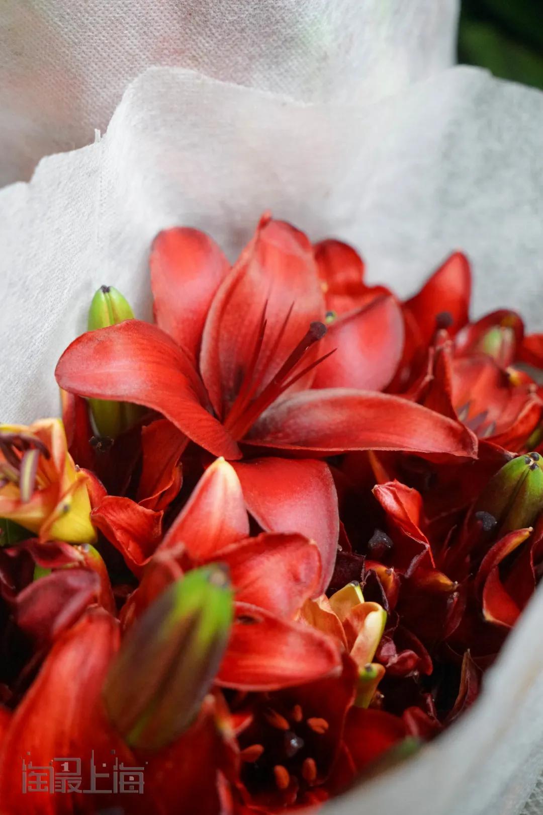 花卉市场晚上营业,今天的花卉市场