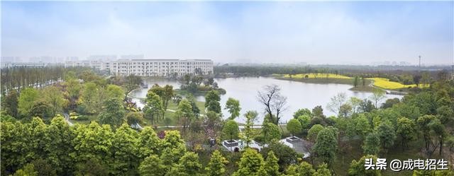 电子科技大学2022年高水平运动队,2020大学高水平运动队录取查询