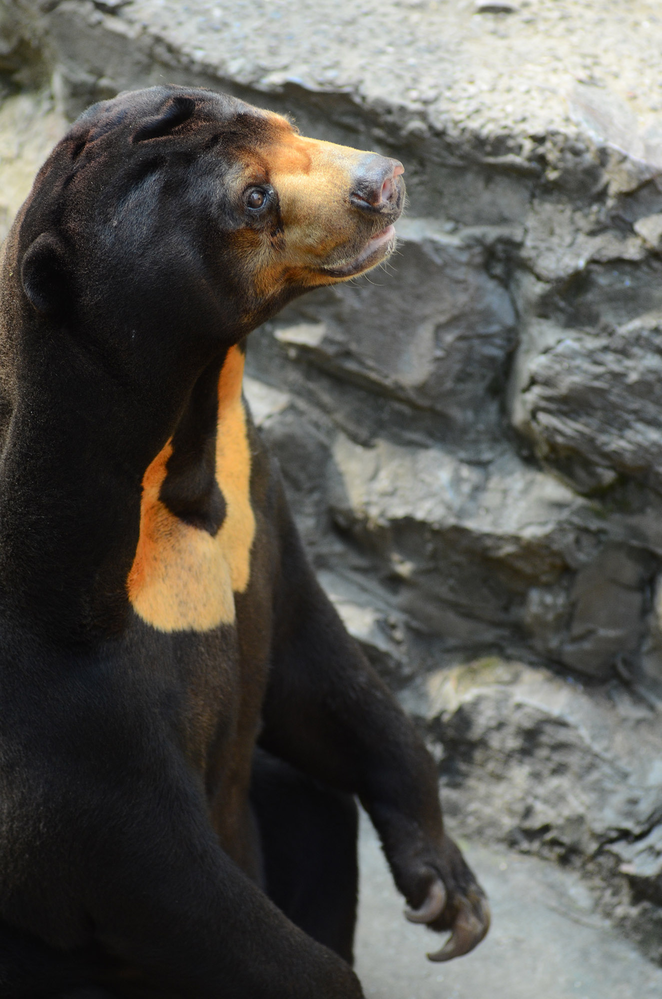 尼康d7000和d700画质对比,尼康d700012年