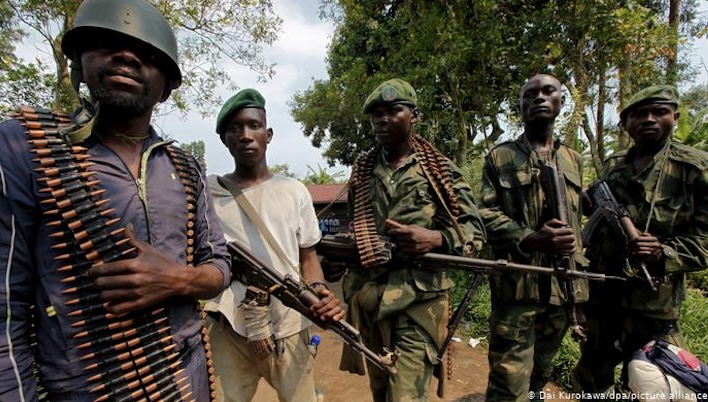 已死亡的著名大猩猩,年龄最大的大猩猩去世