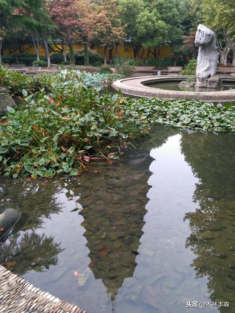 去常州天宁寺拜啥,去天宁寺坐几路车