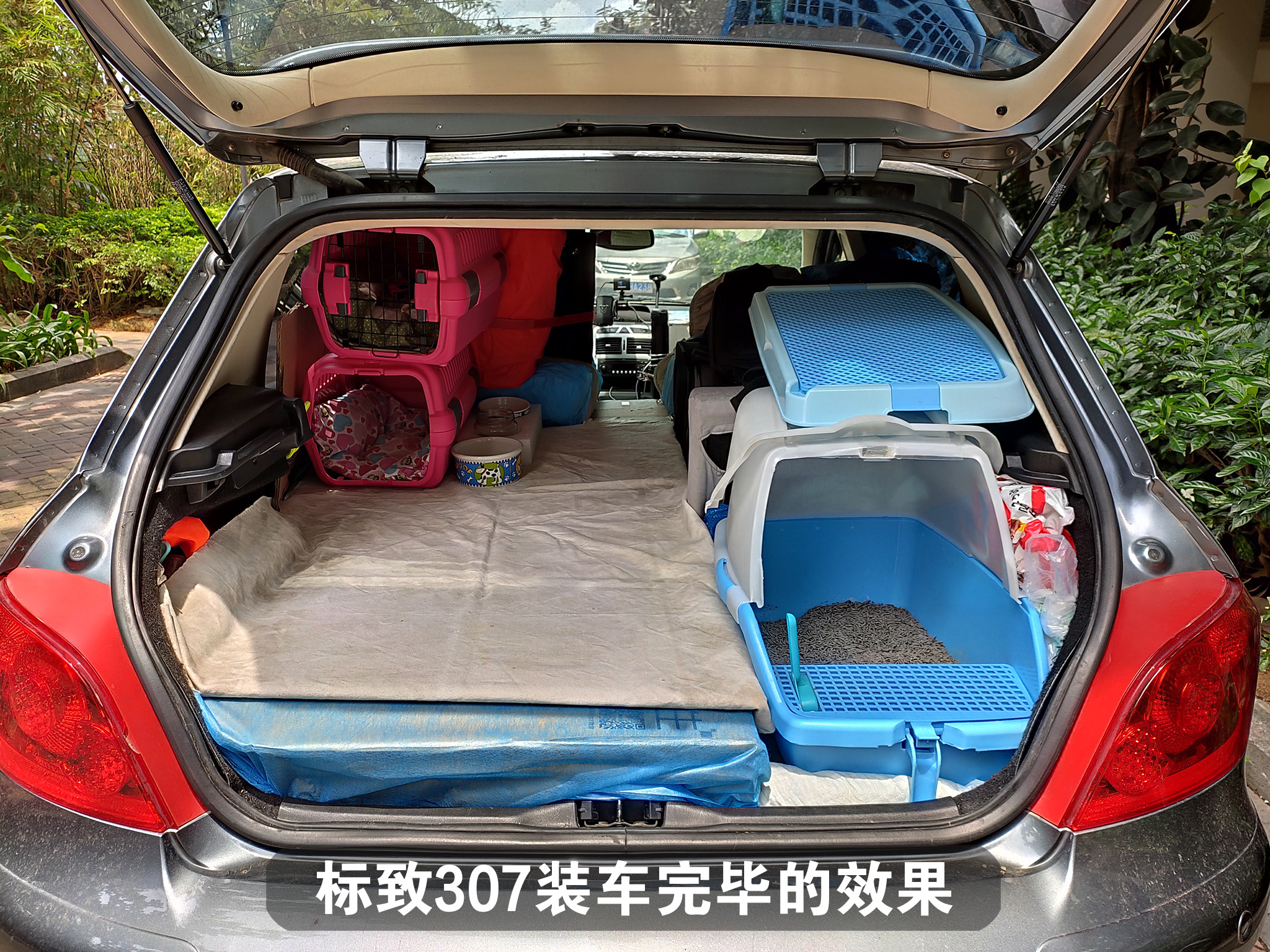 带猫长途自驾需要注意什么,带猫自驾游视频大全