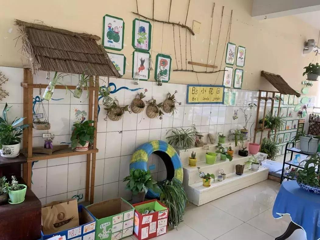 考察蒙氏幼儿园需要了解什么,蒙氏幼儿园东北探园