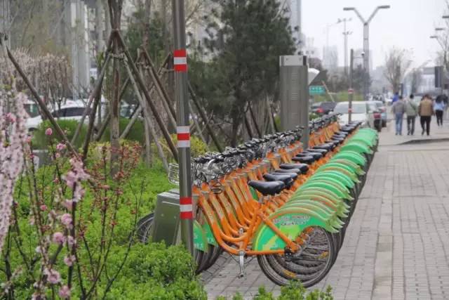 杭州公共自行车扫码租车怎么还车,太原公共自行车怎么扫码骑教程