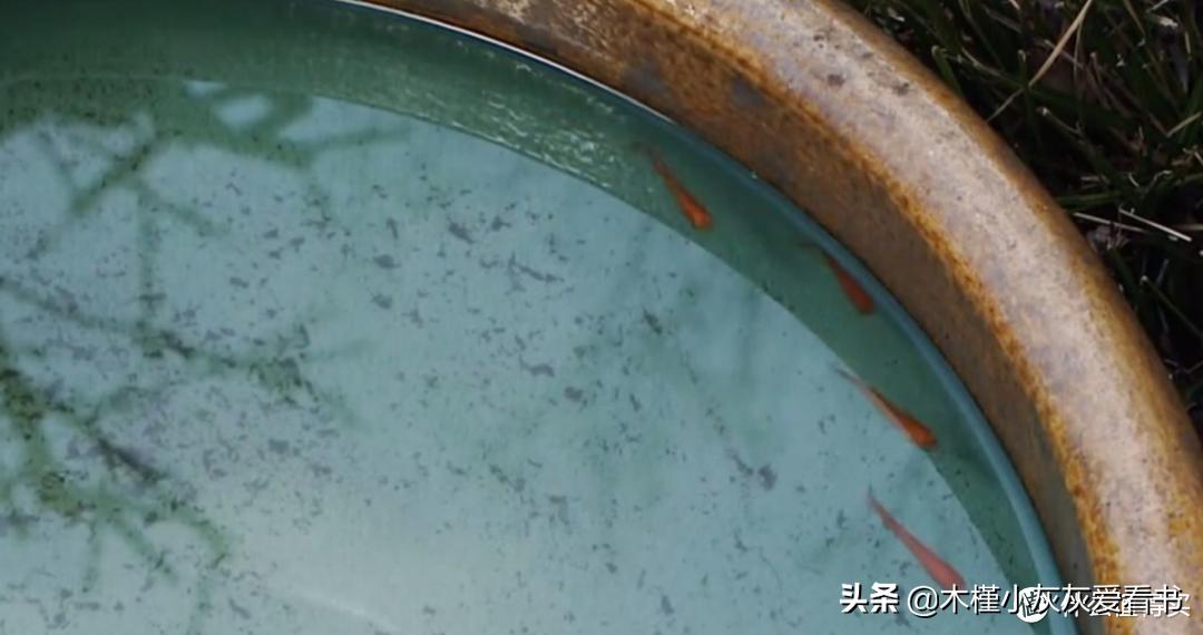 人生低谷必看励志电影,适合人生低谷看的电影