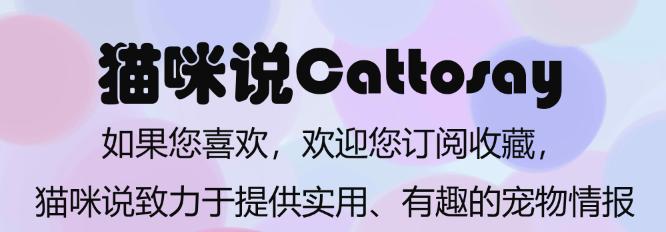 猫的尾巴为什么有疙瘩,猫尾巴的100个小秘密