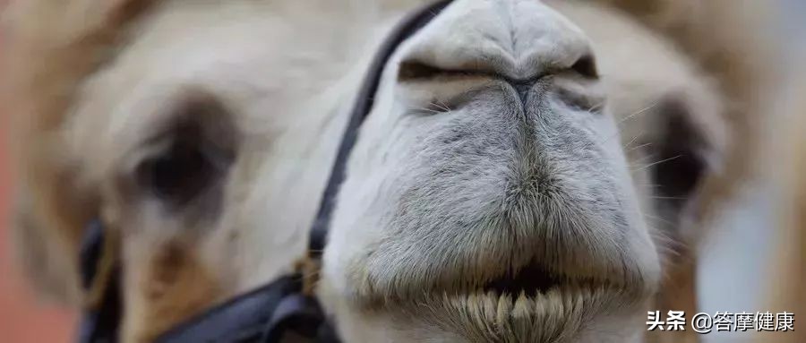 天天早上鼻塞打喷嚏有感冒症状,清晨起床鼻塞打喷嚏