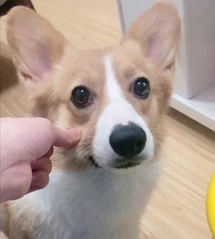 女性独立买房的现状,独立买房的优缺点