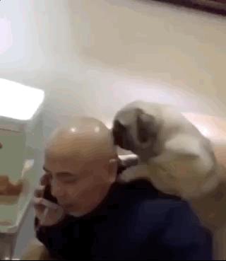 甭管啥就盘它,甭管什么东西盘它原版