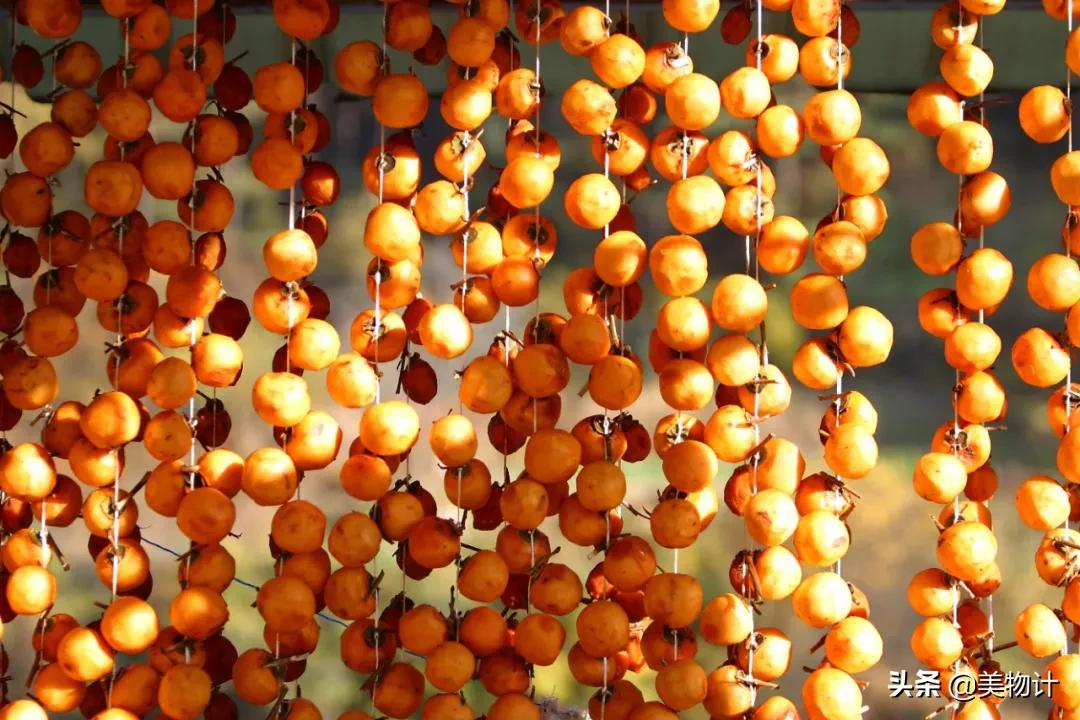 柿子红了歌曲原唱,柿子红了