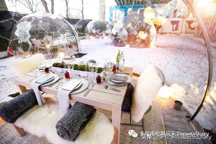 Presto、Costco…… 在多伦多生活,有这些卡就够了