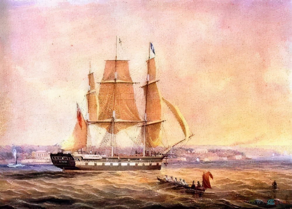 吃燕窝会让金丝燕无家可归吗,吃燕窝有负罪感