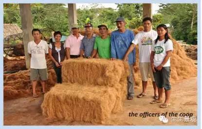 微景观材料的作用,微景观生态材料