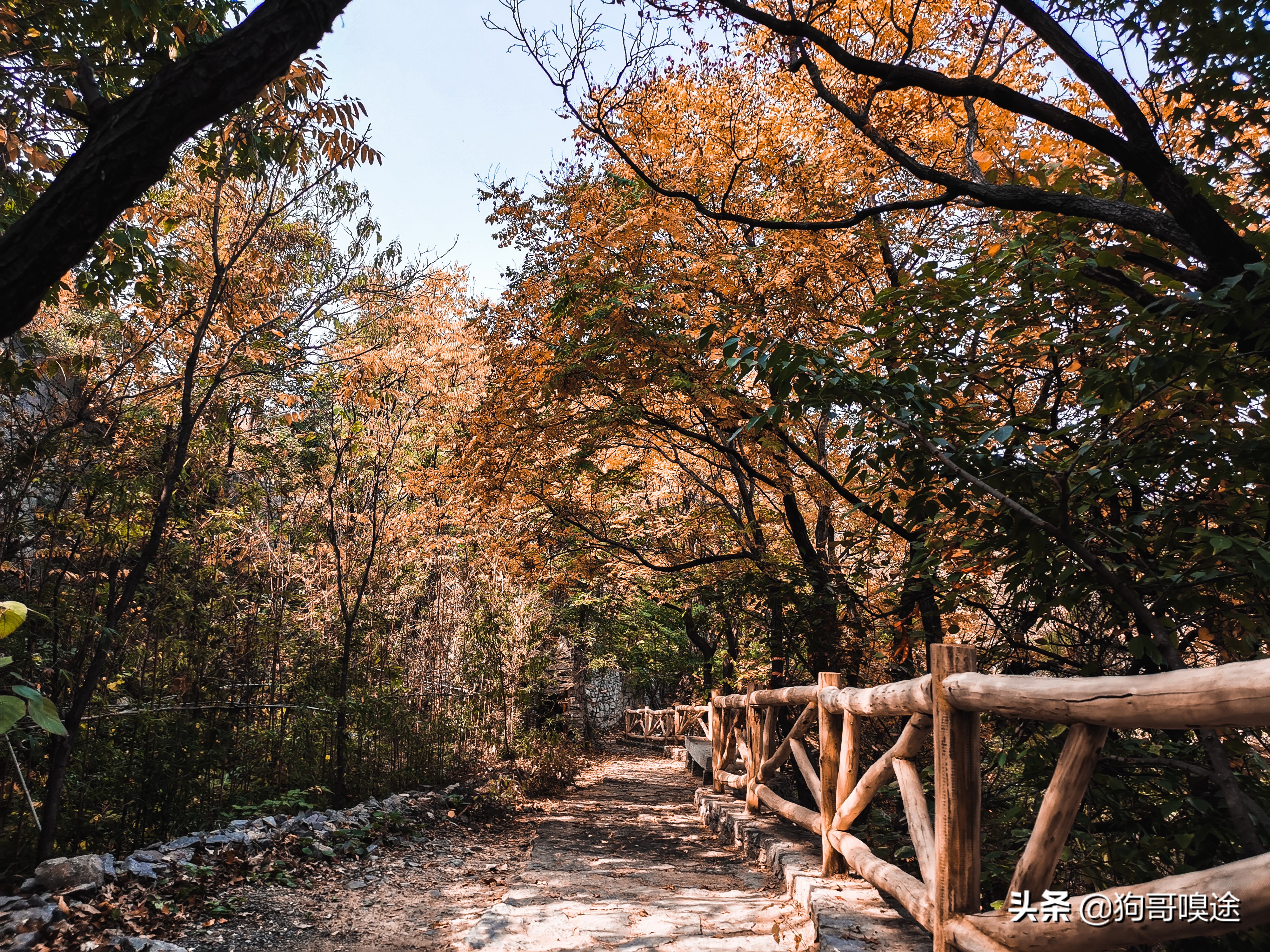 淄博山里的风景区,淄博避暑的好去处张店