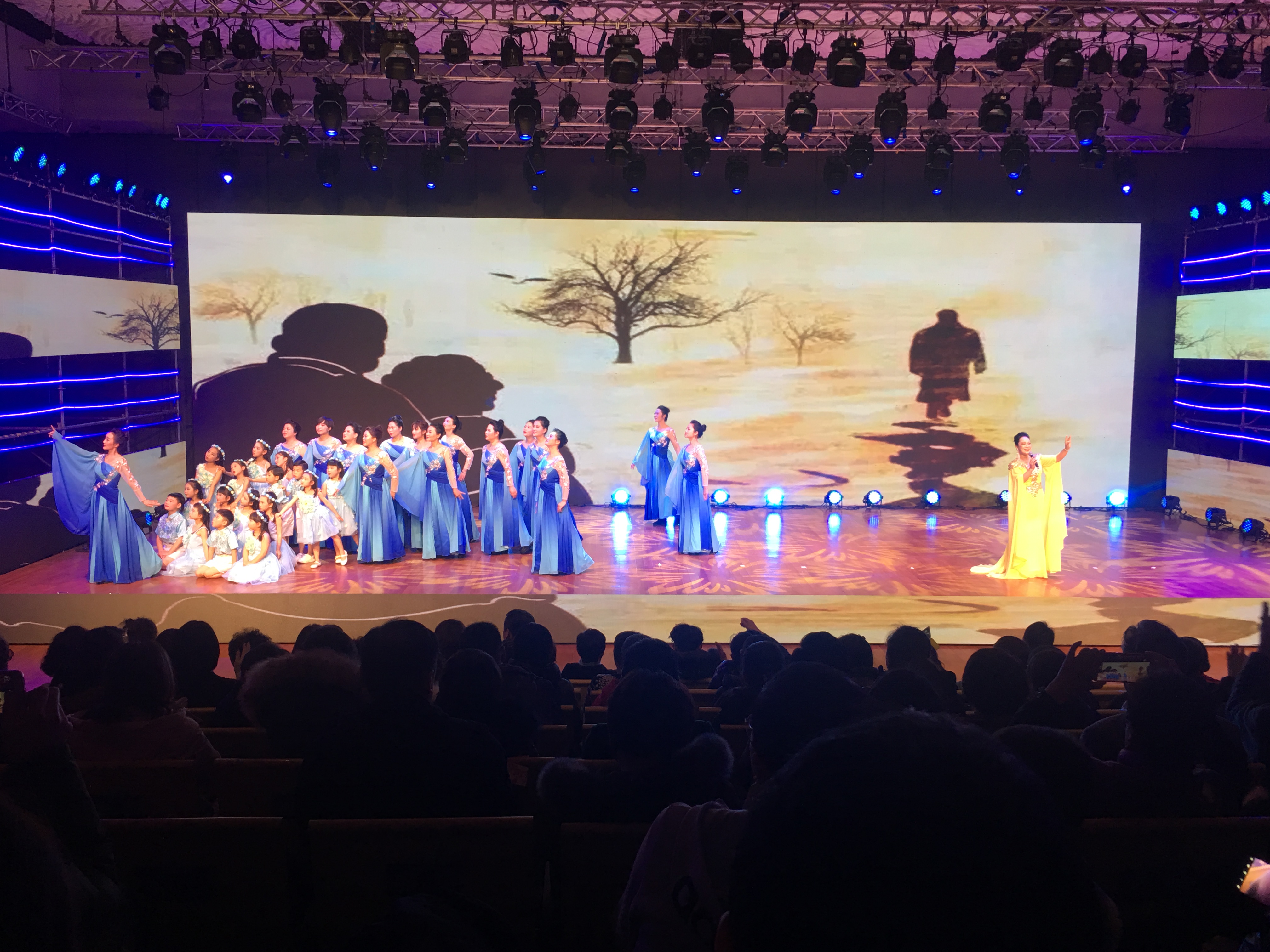 舒之韵百灵鸟声乐培训,舒之韵