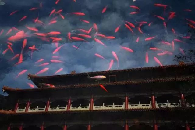 天目山斐文禅意酒店,天目山上客堂酒店斐文野奢民宿