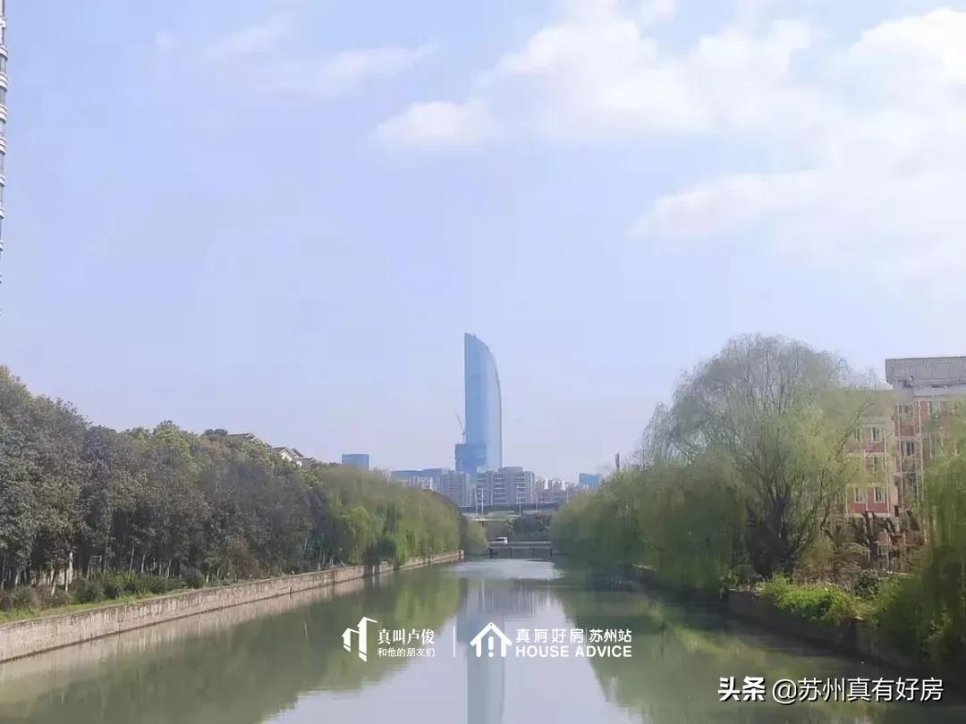 苏州园区还能买吗,为什么买苏州园区