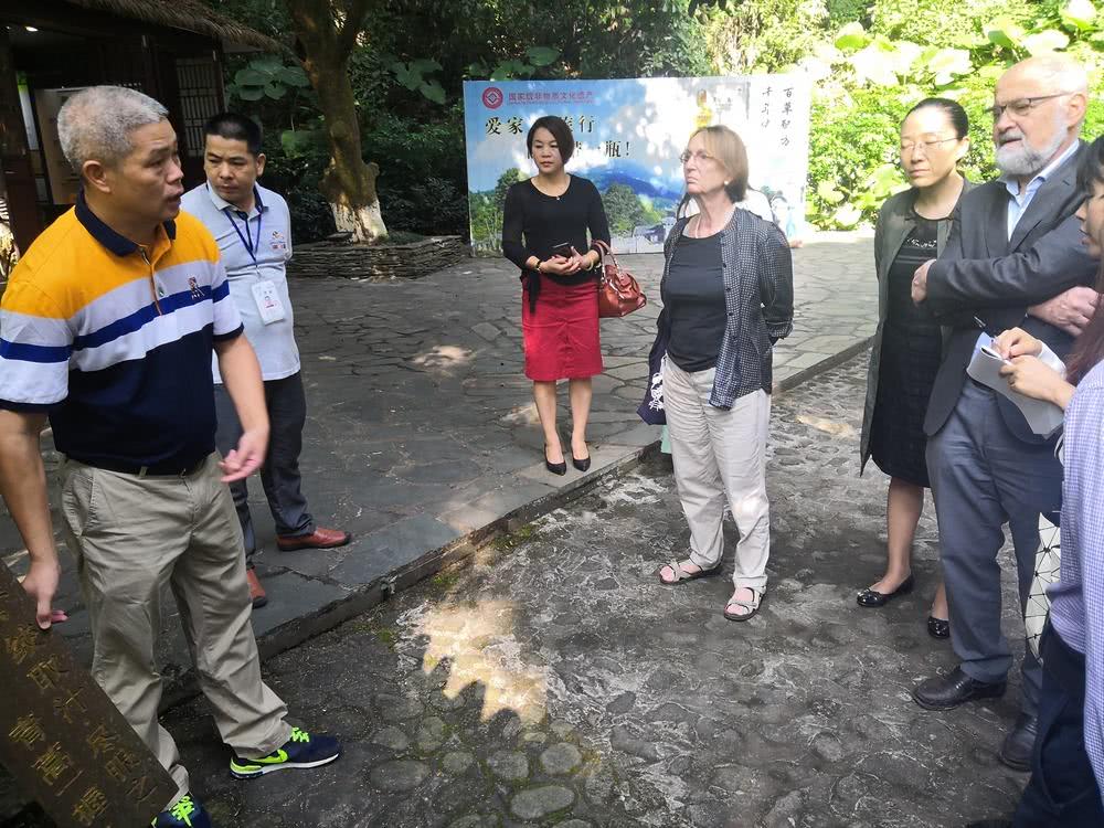 罗浮山出名的药是什么药,罗浮山中医药博览会