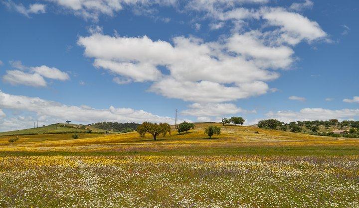 去葡萄牙自驾游需要什么手续,葡萄牙自驾旅游最佳路线