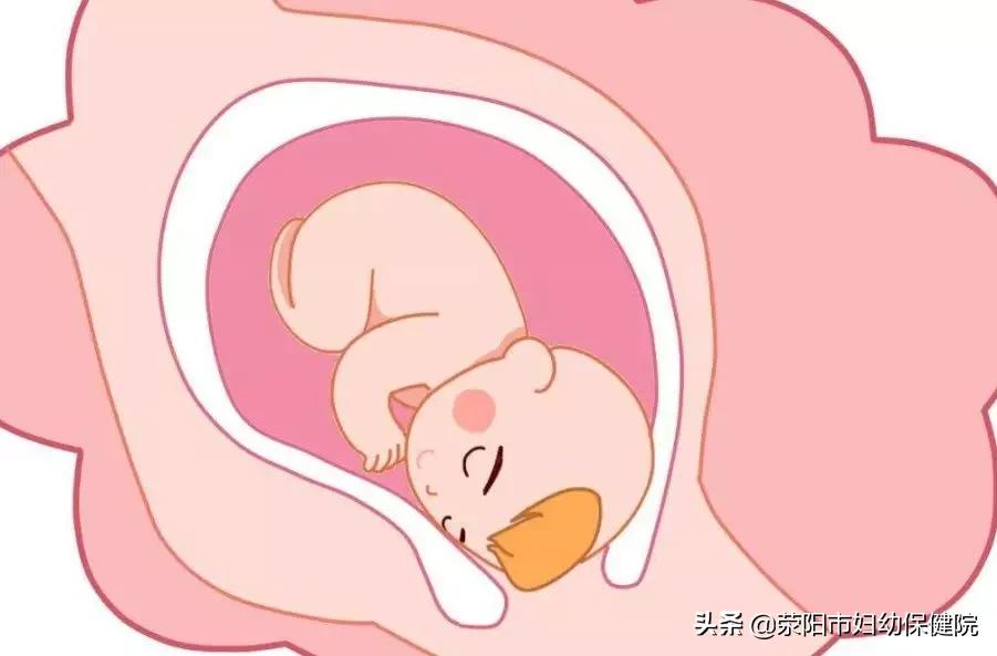 子宫脱垂危害性,子宫脱垂危害是什么