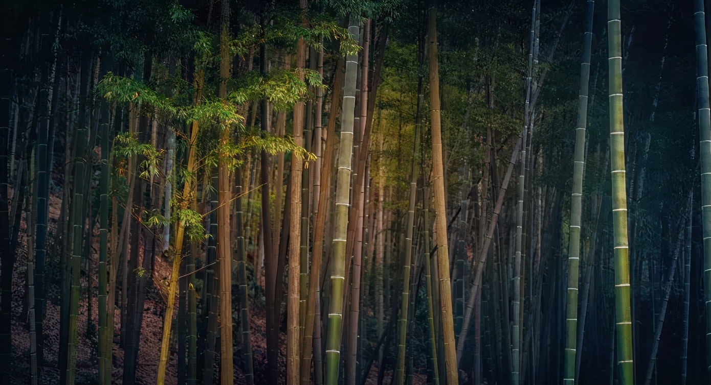 浙江省的一颗明珠城市,浙江安吉美丽风景