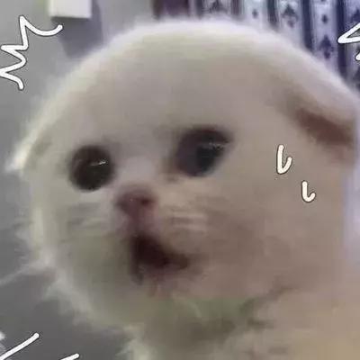 护肤品的8个误区,护肤品的五个误区