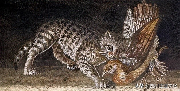 猫的故事,猫的故事视频